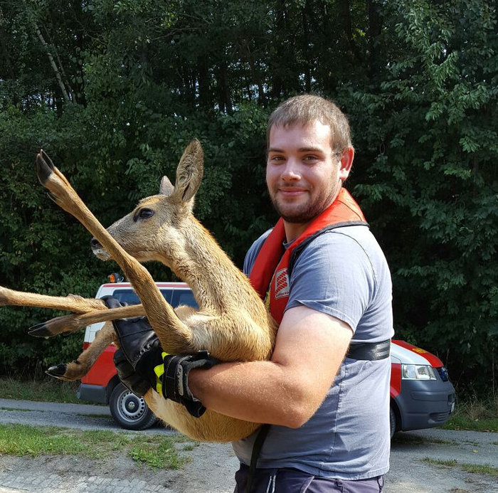 Bambi in Not – Bechtsbüttel rettet