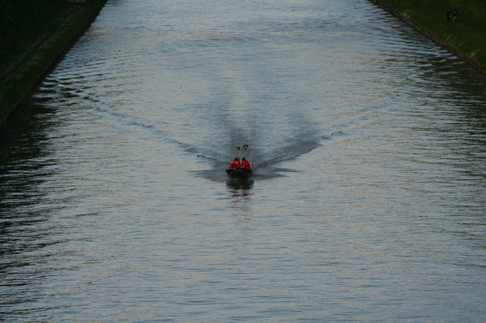 Tier in Not im Mittellandkanal